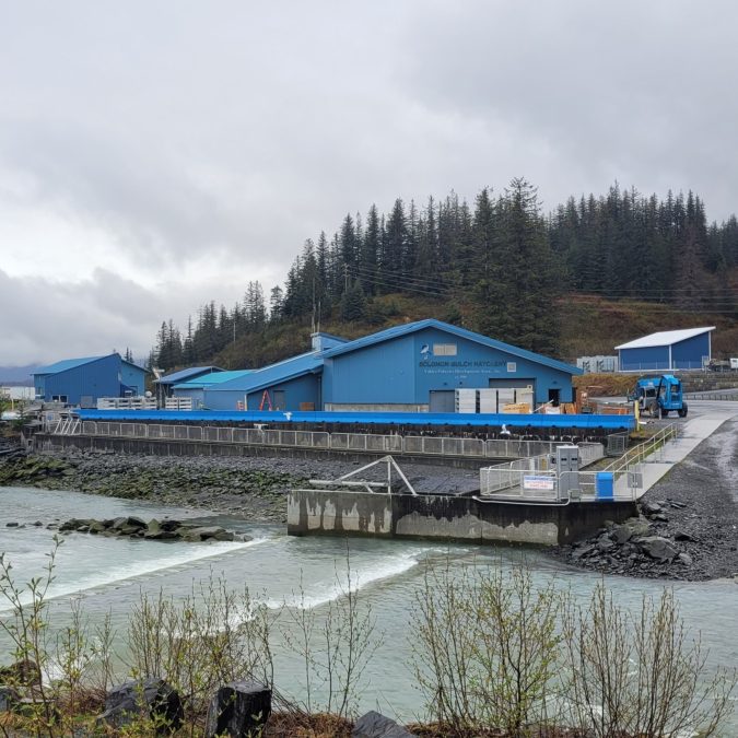 Solomon gulch hatchery 4