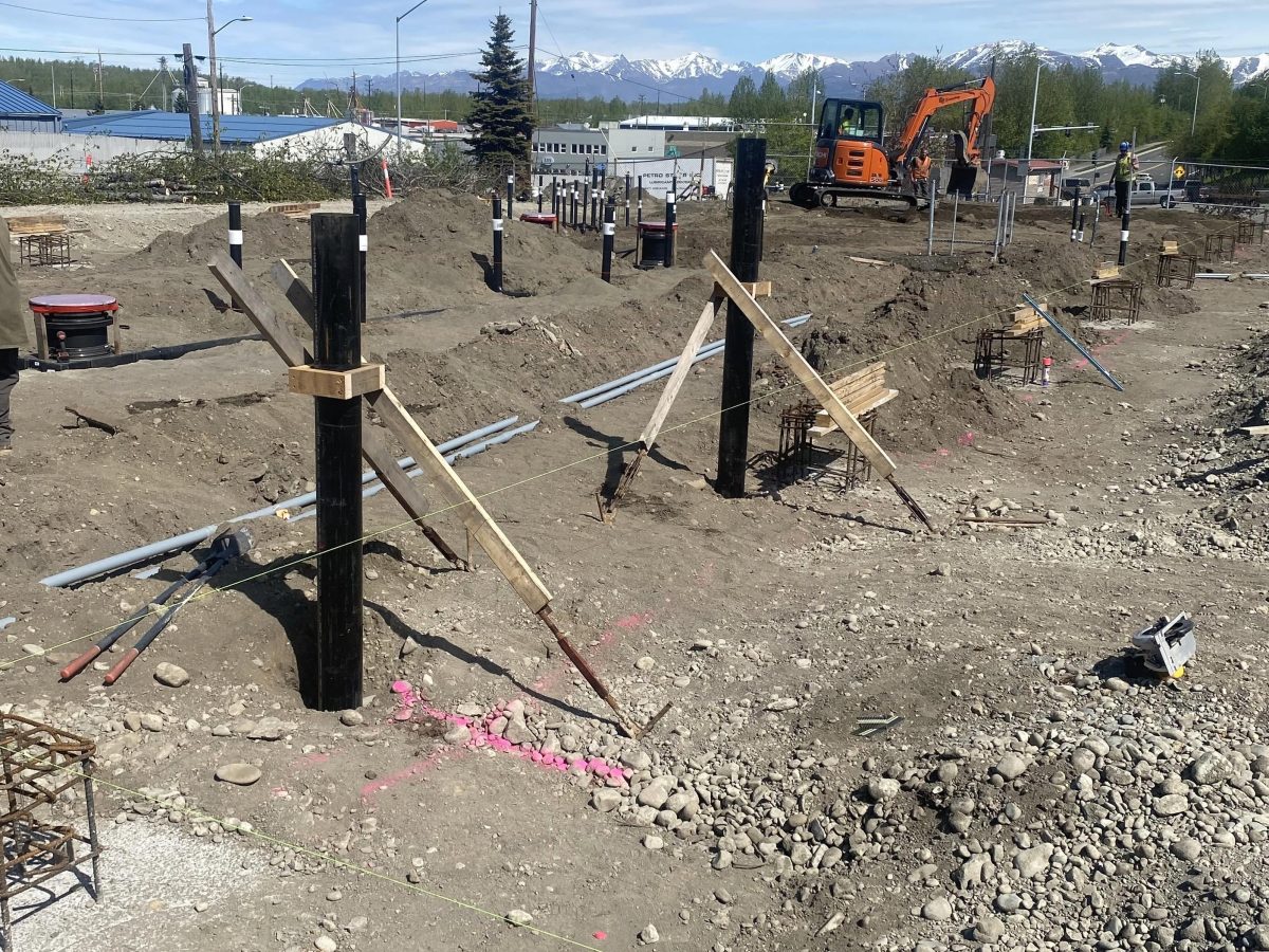 IAL 1