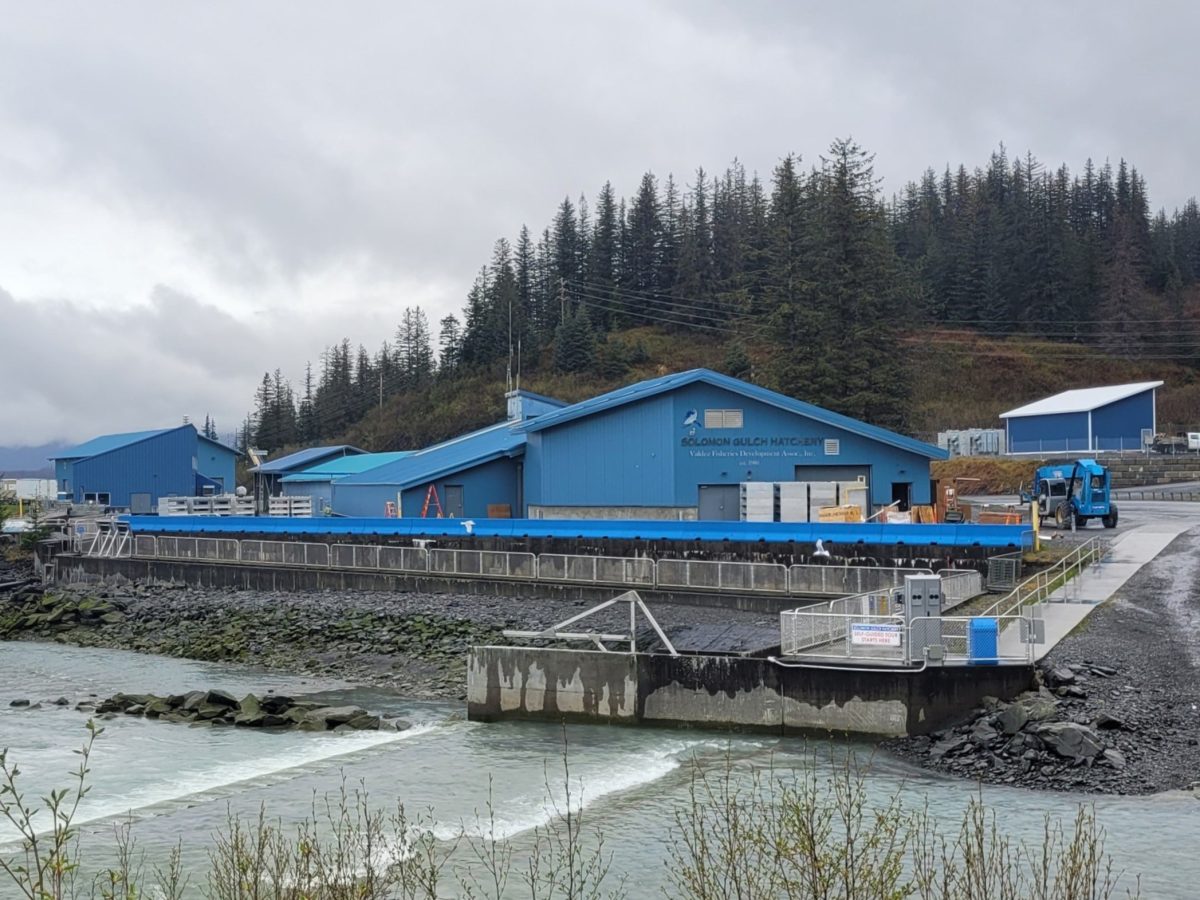 Solomon gulch hatchery 4