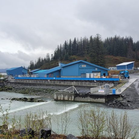 Solomon gulch hatchery 4